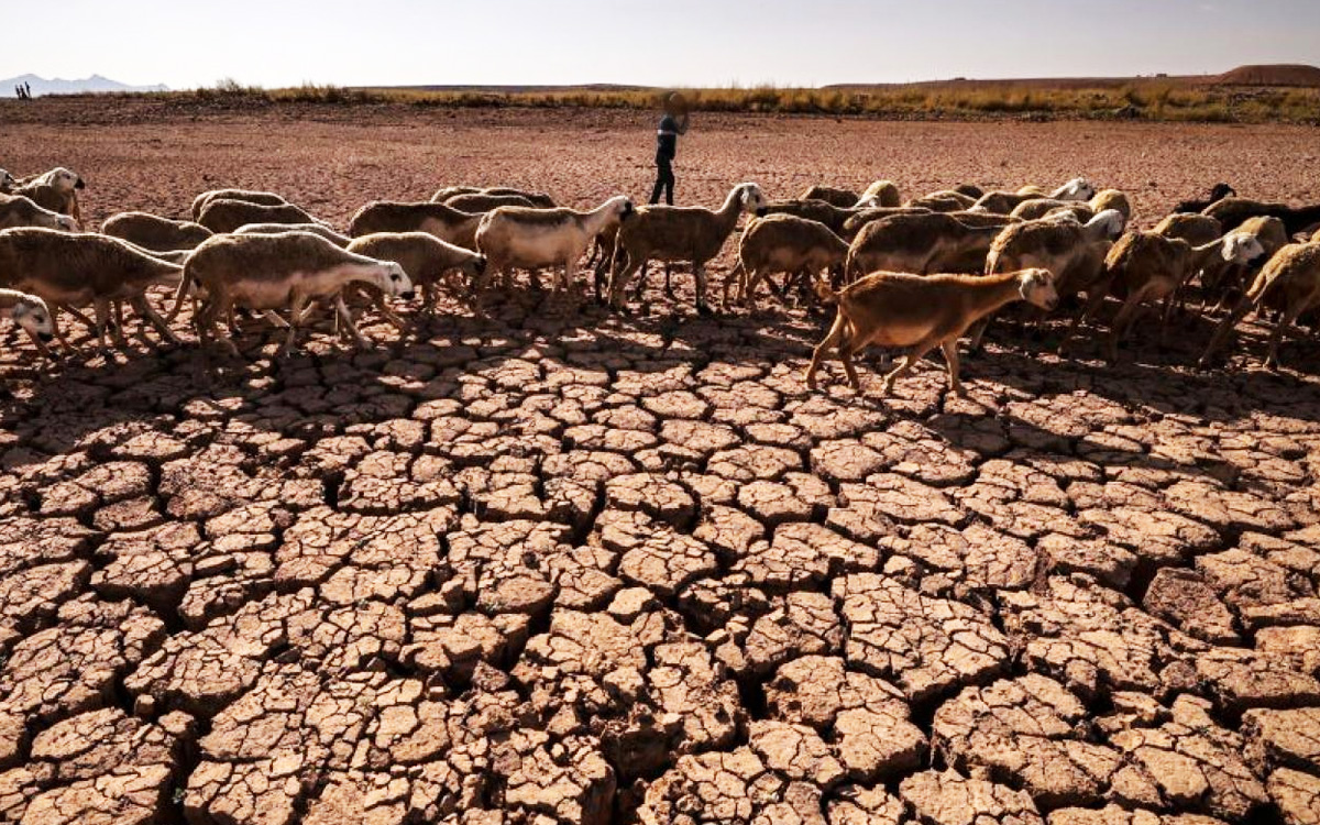 الجفاف وندرة المياه في المغرب.. الأسباب والحلول 