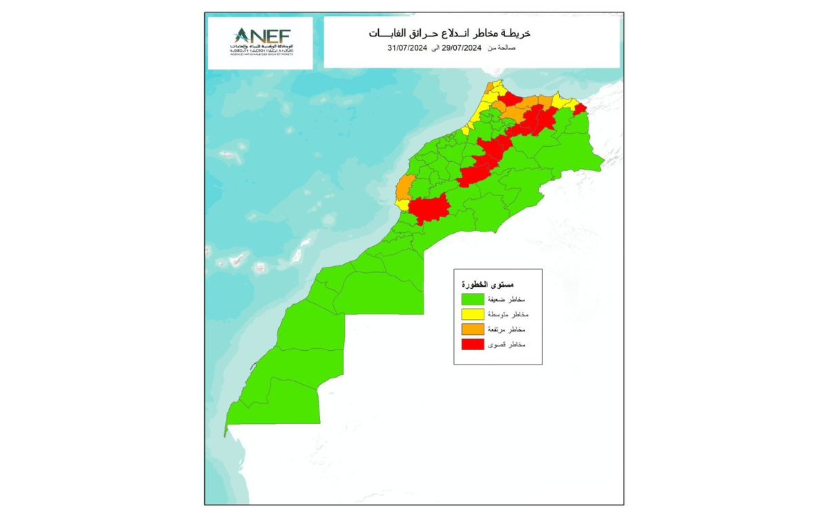 استباق حرائق الغابات.. الوكالة الوطنية للمياه والغابات تُصدر خرائط تنبؤ يومية للمناطق المعرضة لخطر اندلاع الحرائق