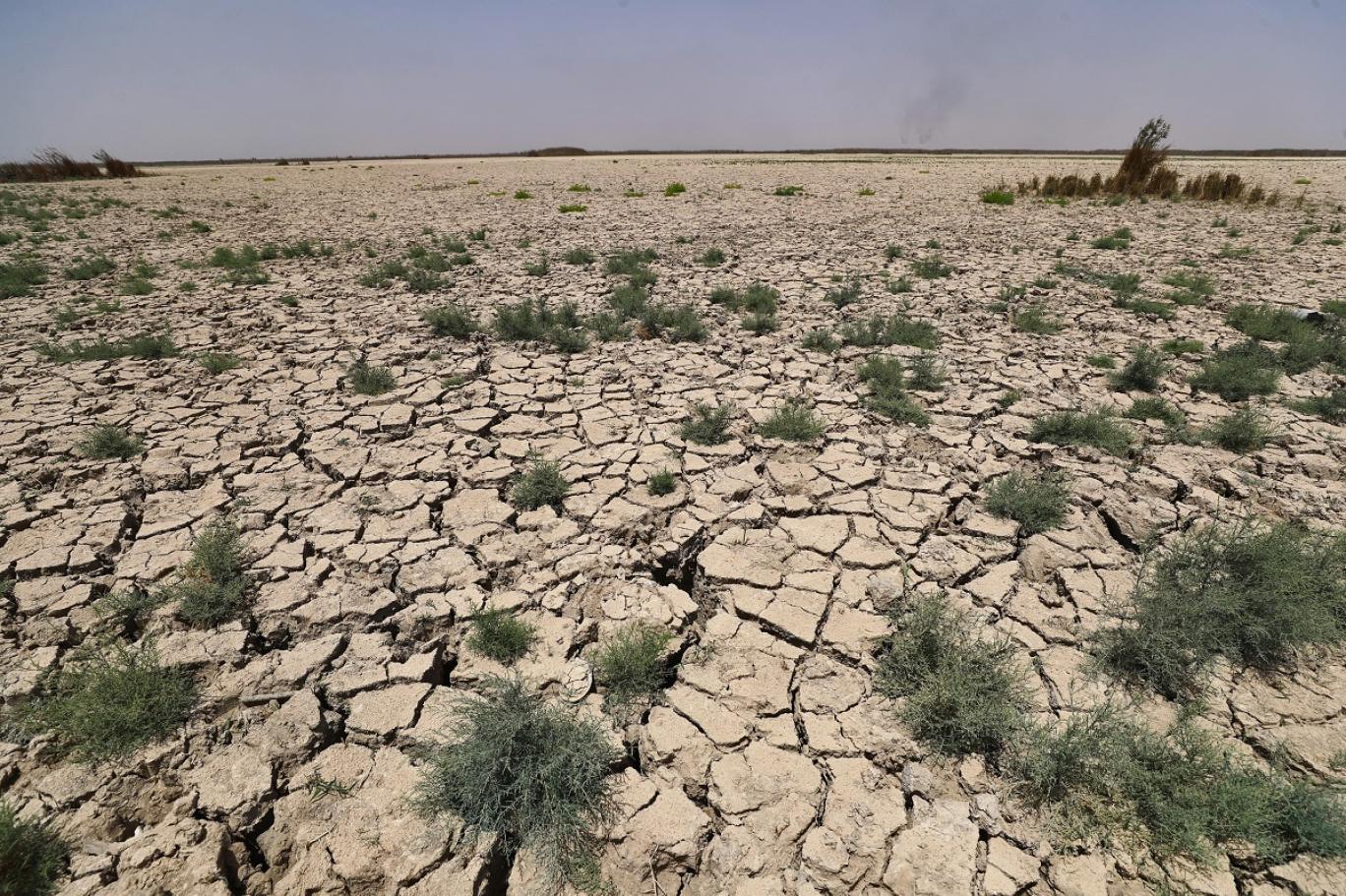 العراق.. فقدان حوالي 60 في المائة من الأراضي الزراعية بسبب الجفاف