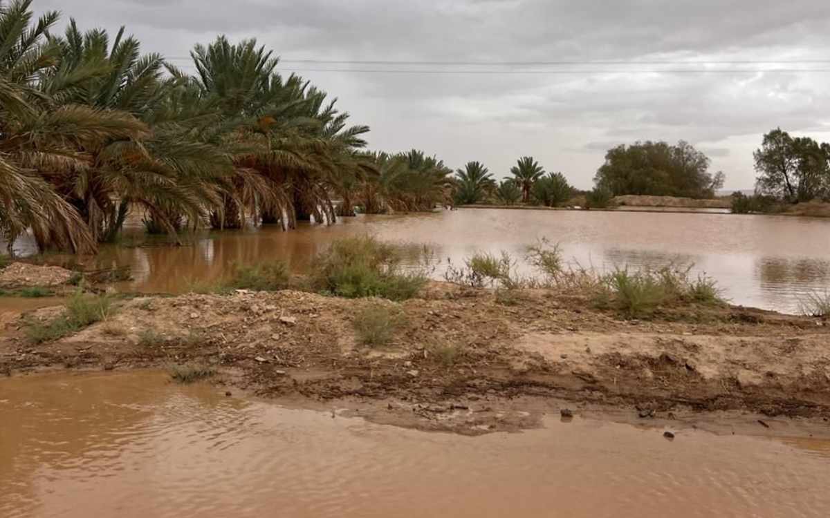 لتنمية المياه بالواحات .. إنجاز 29 عتبة مائية بأقاليم الرشيدية وميدلت وزاكورة سنة 2024