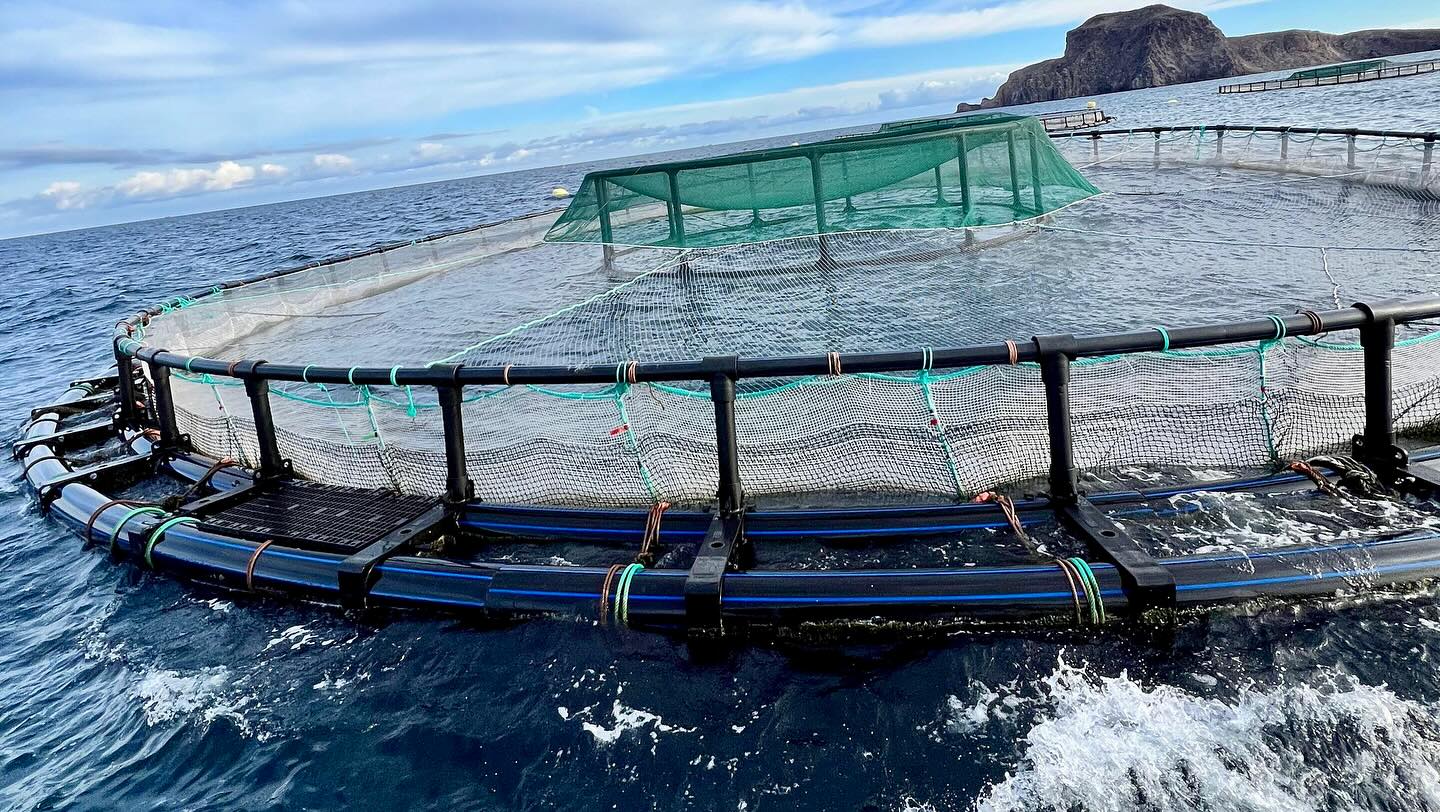 مجلة إيطالية: المغرب نموذج للدول الإفريقية في مجال تربية الأحياء المائية المستدامة  