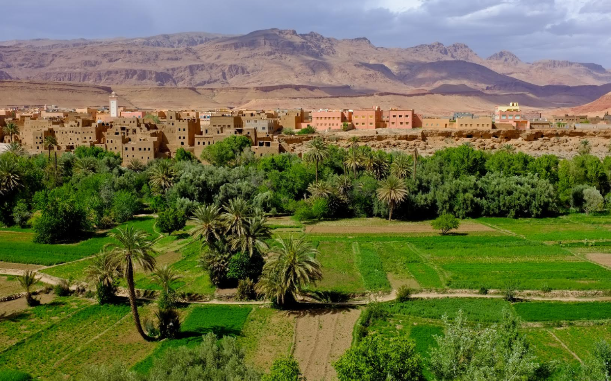 الواحات في مواجهة ندرة المياه والتغيرات المناخية العالمية.. محور مناقشات خلال مؤتمر دولي بورزازات