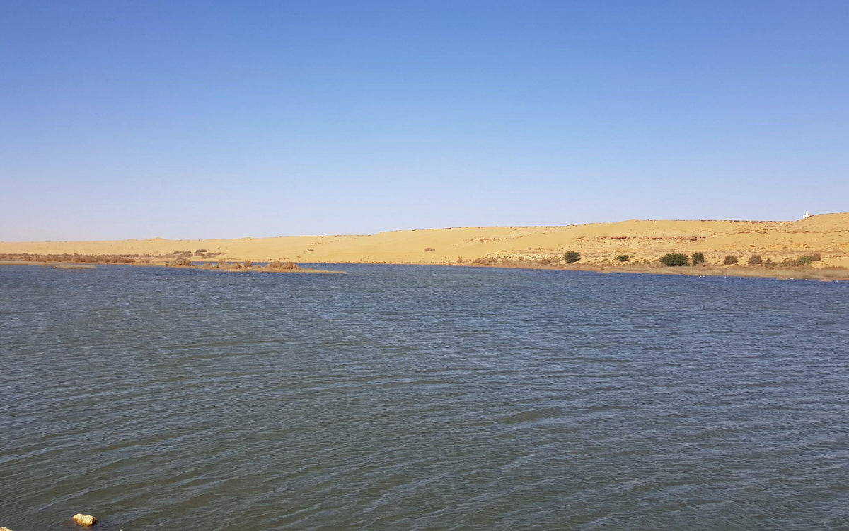 خطوات عملية لتخطيط وتدبير الموارد المائية بجهة الداخلة وادي الذهب