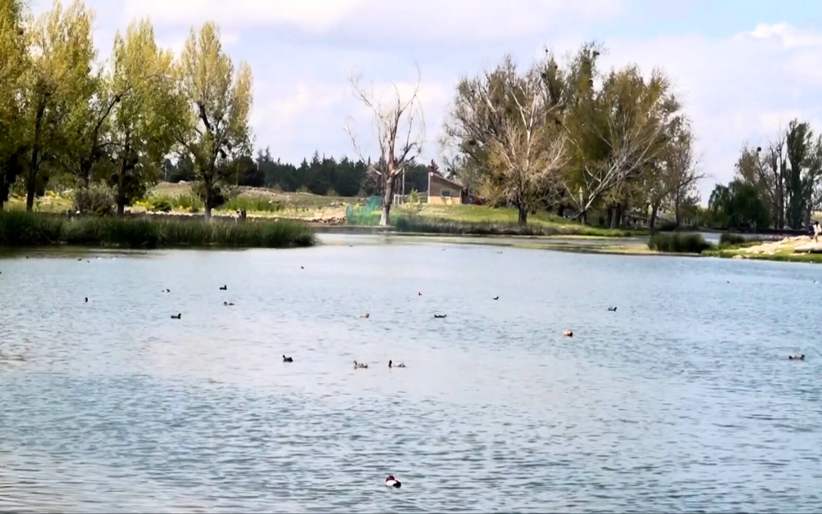 بعد سنوات من الجفاف.. عودة الحياة إلى منابع إفران بفضل التساقطات المطرية والثلجية الأخيرة
