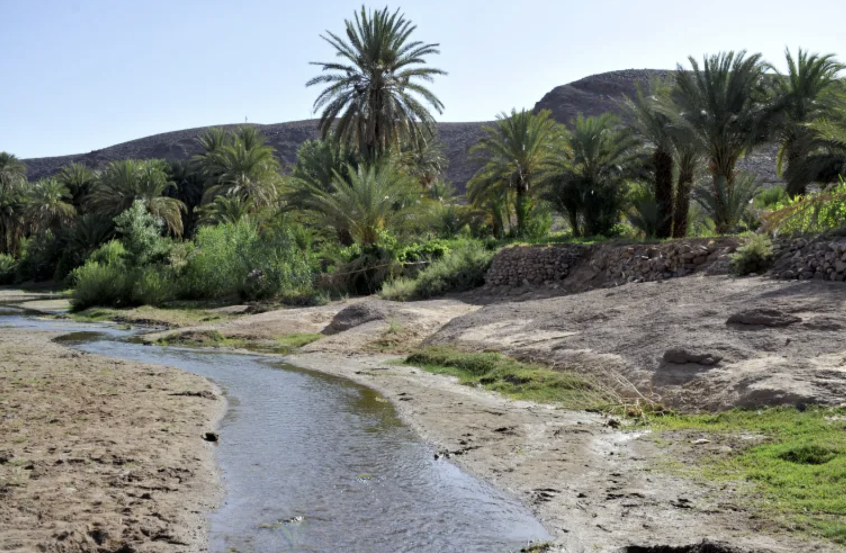 لتنمية الواحات وشجر الأركان.. العمل على إنجاز أثقاب مائية عميقة لتعزيز العرض المائي بسوس ماسة