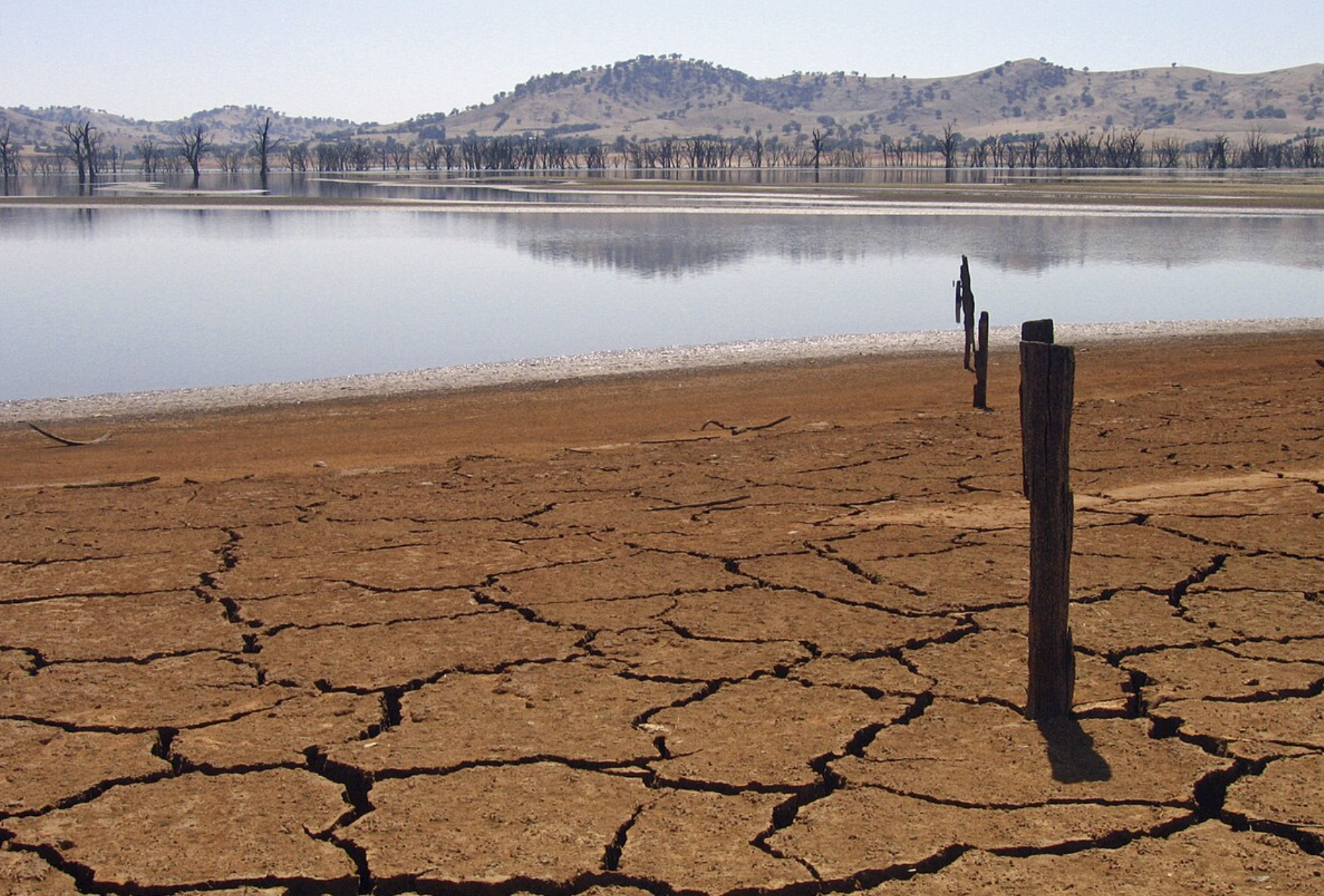 أستراليا تعلن عن حزمة من الإجراءات لمواجهة موجة جفاف "غير مسبوقة" بالبلاد