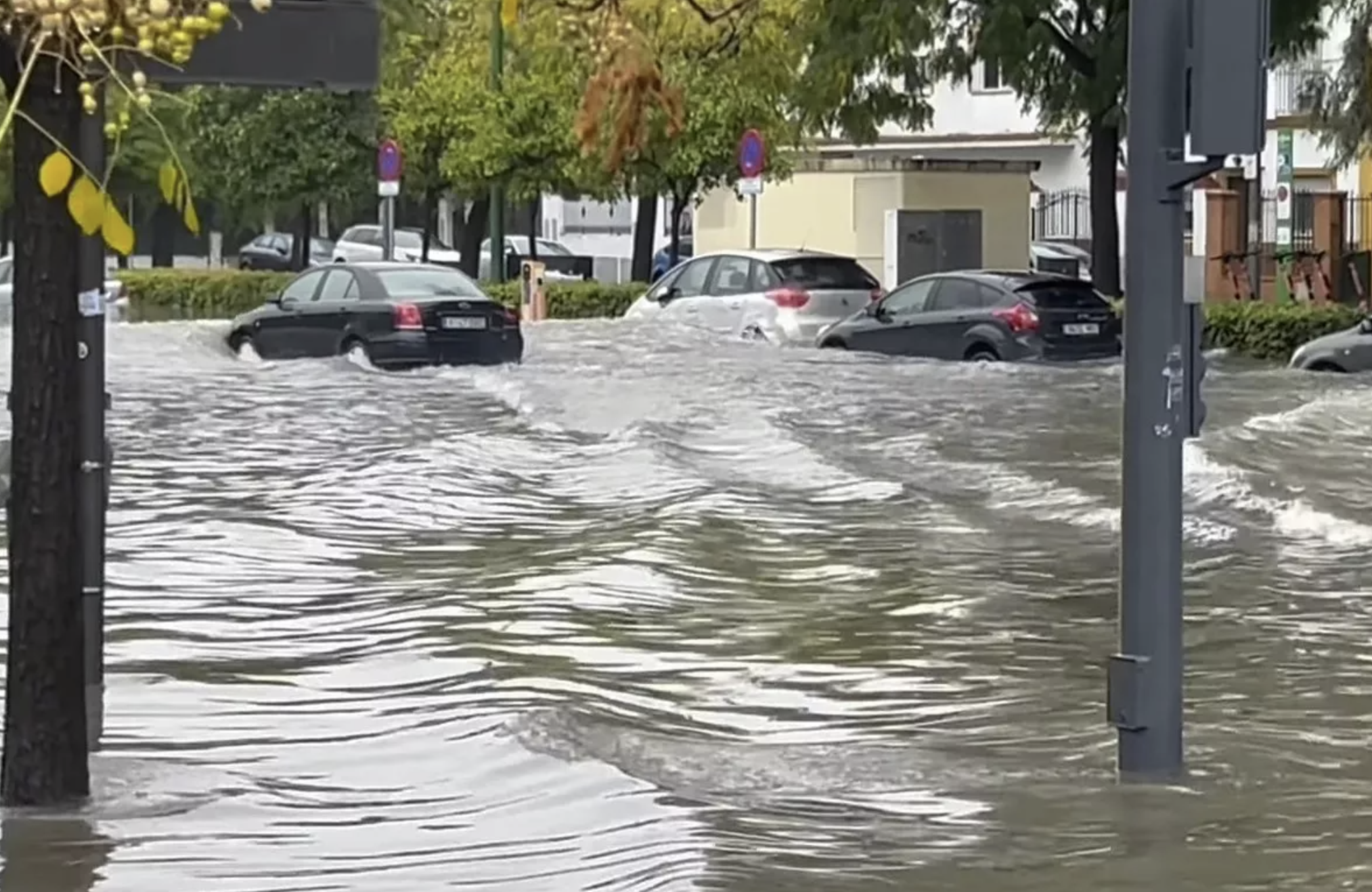 بعد أمطار غزيرة بلغت 120 ملم خلال ساعات.. فيضانات "غير مسبوقة" تجتاح إشبيلية وسط تحذيرات من استمرار الاضطرابات الجوية