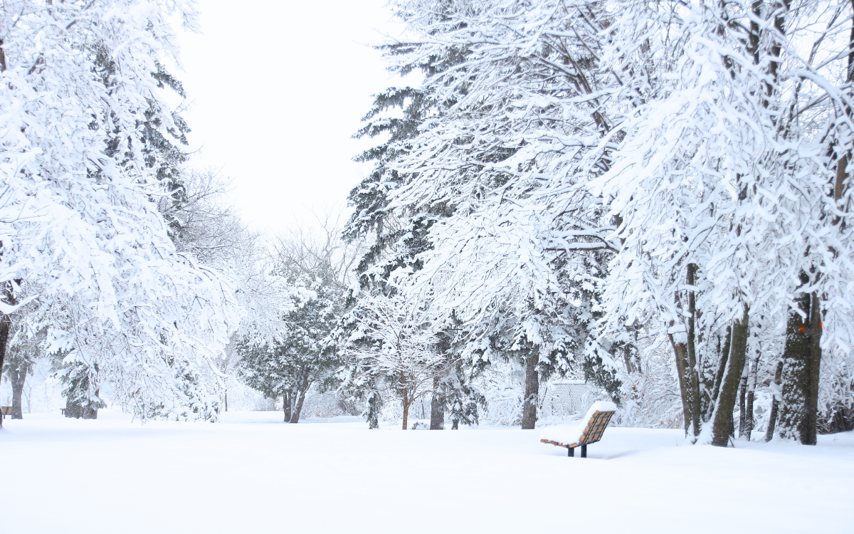 هذه مقاييس التساقطات الثلجية خلال الـ 24 ساعة الماضية