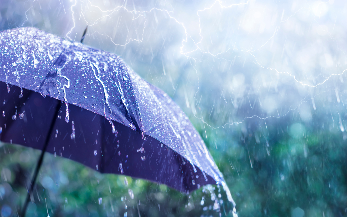 هذه مقاييس التساقطات المطرية خلال الـ 24 ساعة الماضية