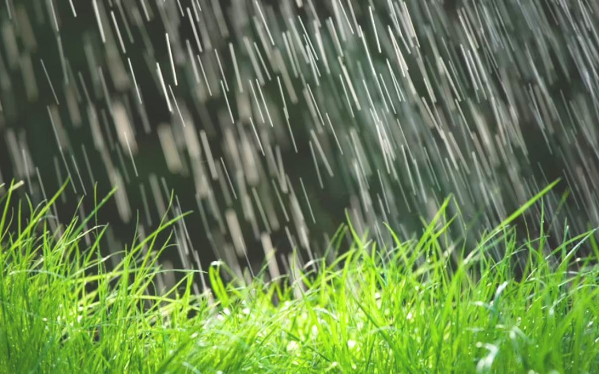 إقليم تارودانت .. التساقطات المطرية الأخيرة تنعش آمال الفلاحين وتبشّر بموسم فلاحي واعد