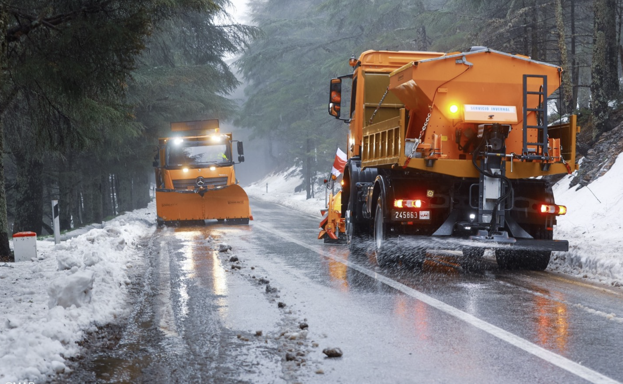 تدخلات ميدانية متواصلة للمصالح المختصة لإزالة الثلوج وتأمين حركة السير في المناطق الجبلية