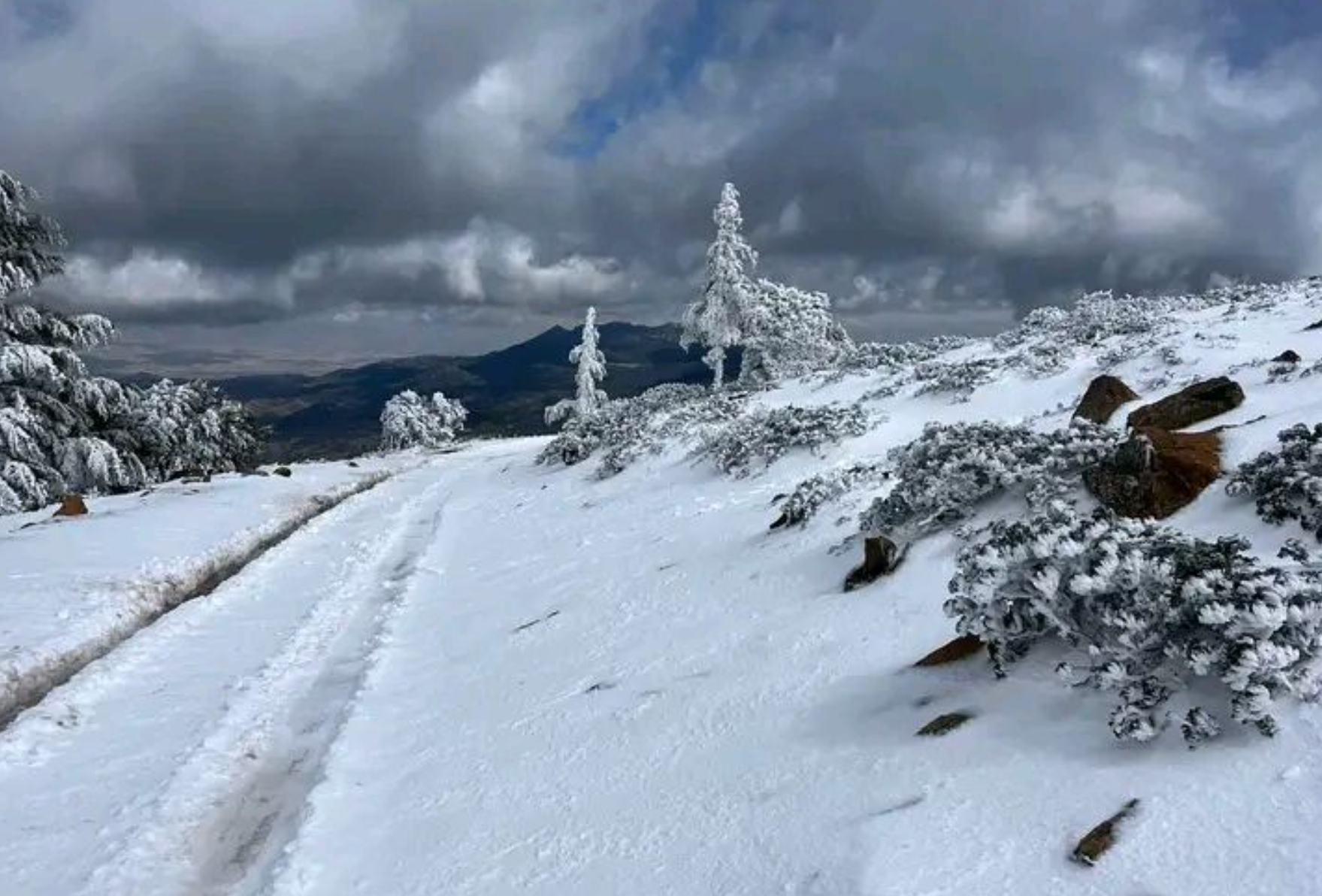 هذه مقاييس التساقطات الثلجية المسجلة بالمملكة خلال الـ 24 ساعة الماضية