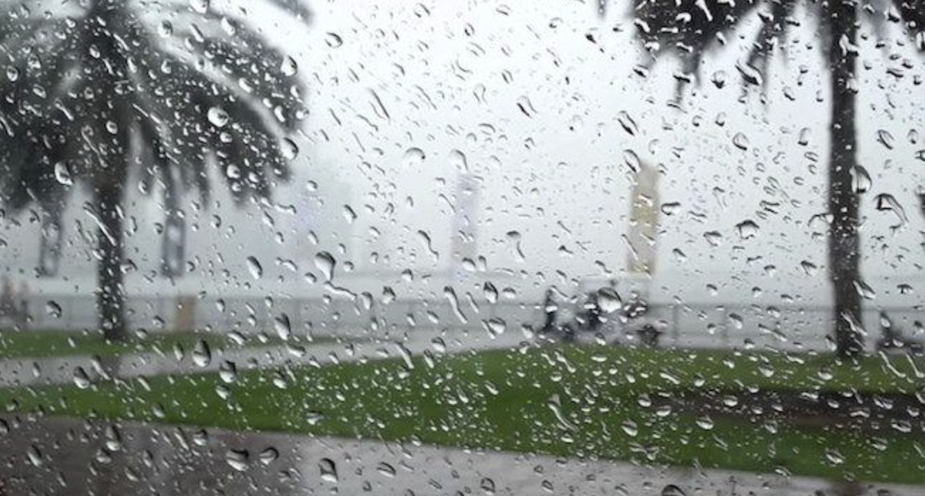 نشرة إنذارية.. زخات وأمطار قوية ورياح عاصفية محليا مرتقبة من الأربعاء إلى الخميس بعدة مناطق بالمملكة