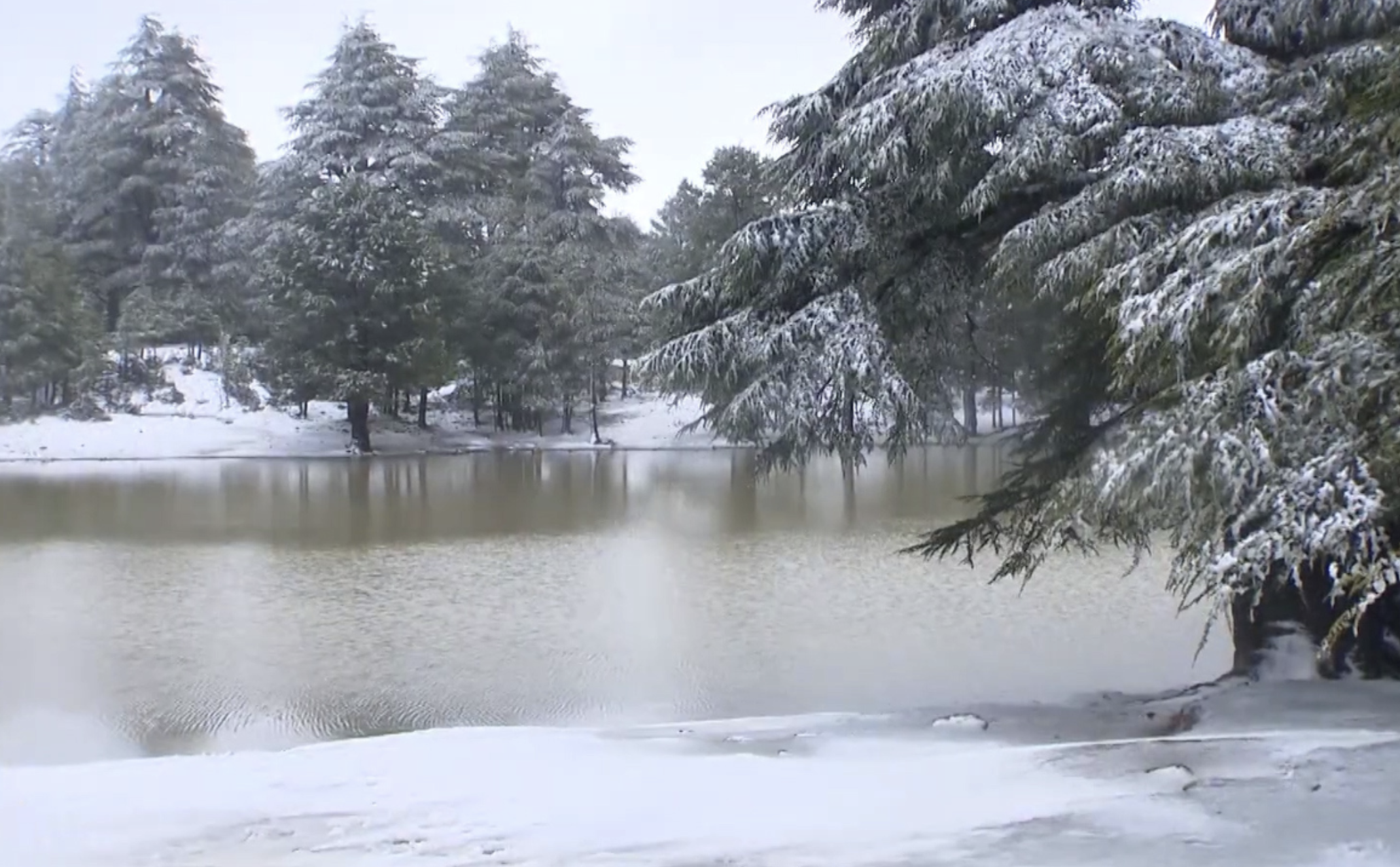 الثلوج تعود لتكسو القمم الجبلية بإقليم خنيفرة وتعيد الحياة لغابات الأرز