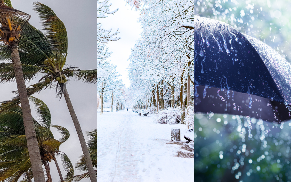 نشرة إنذارية.. تساقطات مطرية قوية أحياناً رعدية مع احتمال تساقط البرد وتساقطات ثلجية وهبات رياح قوية مرتقبة من الجمعة إلى السبت بعدة مناطق بالمملكة