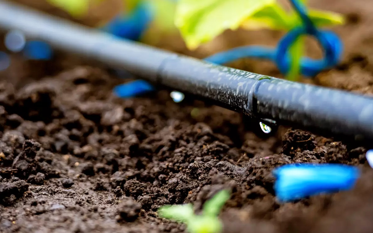 حوض سوس ماسة.. تحويل أنظمة السقي إلى الري الموضعي يعزز النجاعة المائية