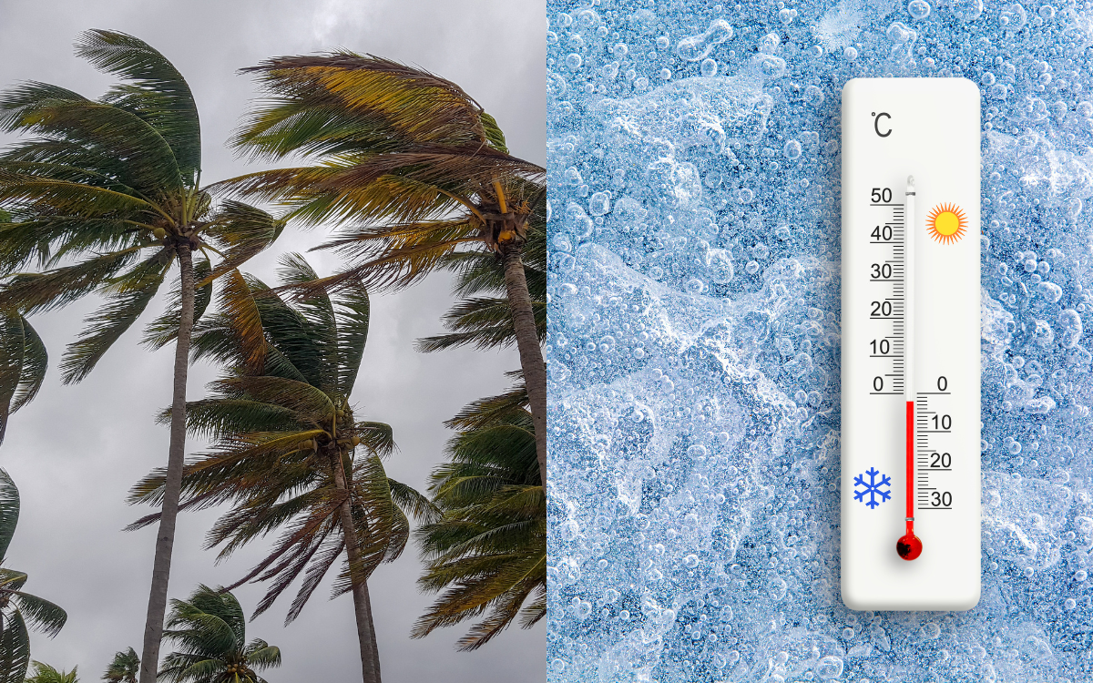 نشرة إنذارية.. طقس بارد وهبات رياح قوية مع تطاير الغبار أو زوابع رملية مرتقبة اليوم الاثنين وغدا الثلاثاء بعدة مناطق بالمملكة