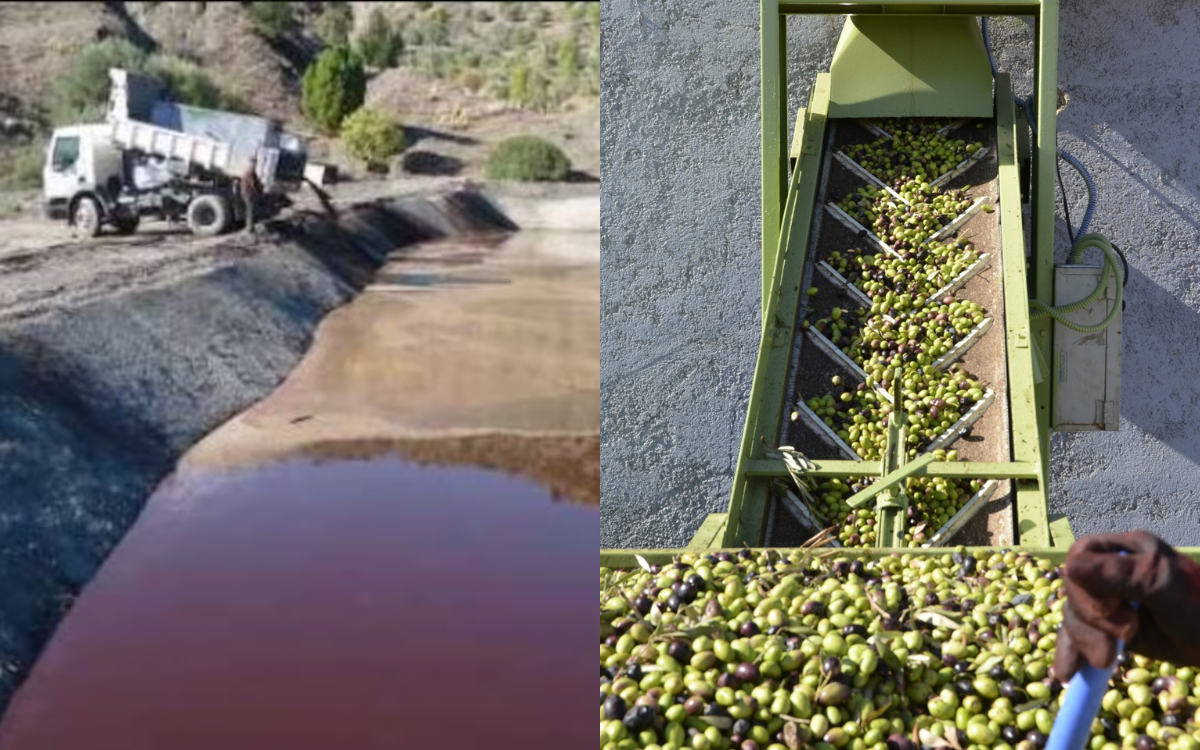 مواصلة تنزيل برنامج حماية الموارد المائية من التلوث الناتج عن معاصر الزيتون بحوض سبو