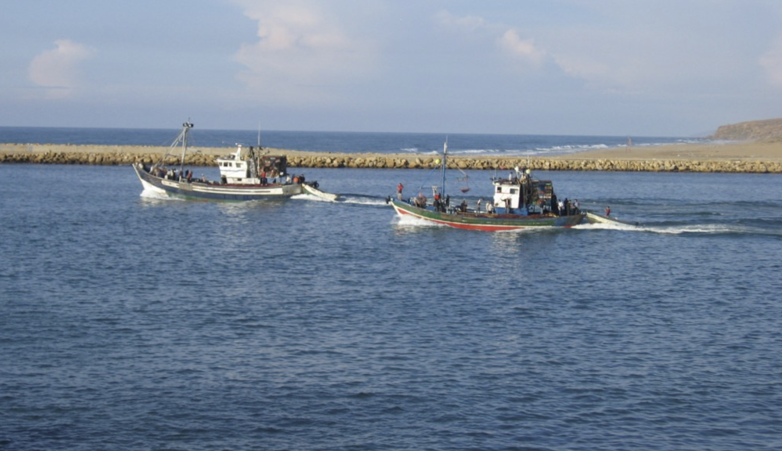 في أفق حماية 10% من السواحل.. المغرب يراهن على المناطق البحرية المحمية لدعم الاقتصاد الأزرق