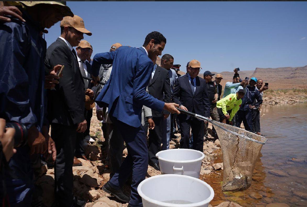 لتثمين المنظومة المائية وتأهيل المحيط البيئي.. انطلاق مشروع تشجير جنبات سد الحسن الداخل بإقليم الرشيدية