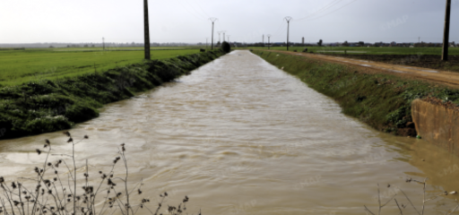 سهل اللوكوس.. تساقطات مطرية مهمة تنعش المزروعات وتُبشّر بموسم فلاحي واعد