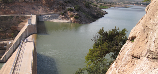 لتعزيز العرض المائي وتقليص الفوارق المجالية.. مواصلة أشغال إنجاز 4 سدود متوسطة بمختلف أقاليم المملكة