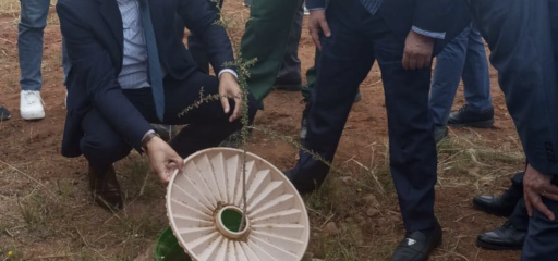 تقنية Waterbox.. حل مبتكر يقتصد في الماء ويُعزّز التشجير بالمناطق الجافة في جهة سوس-ماسة