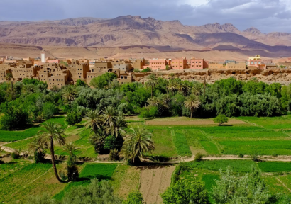 الواحات في مواجهة ندرة المياه والتغيرات المناخية العالمية.. محور مناقشات خلال مؤتمر دولي بورزازات