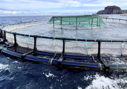 عدد المزارع المرخصة لتربية الأحياء المائية البحرية بالمملكة يبلغ 300 مزرعة