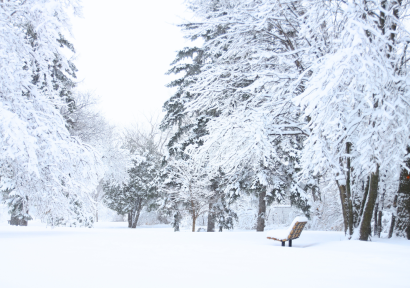 هذه مقاييس التساقطات الثلجية خلال الـ 24 ساعة الماضية
