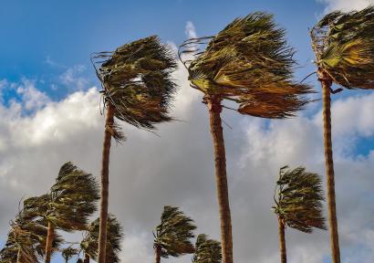 نشرة إنذارية.. هبات رياح قوية مع عاصفة رملية مرتقبة من الخميس إلى الجمعة بعدة مناطق بالمملكة