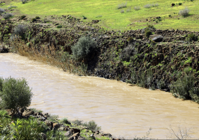وادي أم الربيع.. شريان مائي استراتيجي يستعيد زخمه الطبيعي