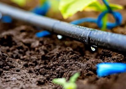 حوض سوس ماسة.. تحويل أنظمة السقي إلى الري الموضعي يعزز النجاعة المائية