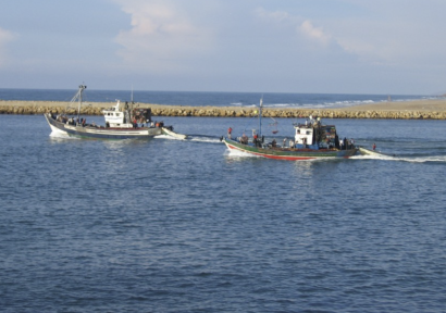 في أفق حماية 10% من السواحل.. المغرب يراهن على المناطق البحرية المحمية لدعم الاقتصاد الأزرق