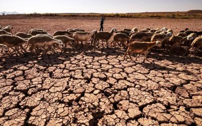 الجفاف وندرة المياه في المغرب.. الأسباب والحلول 