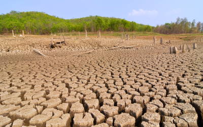 ضمنها الآثار البيئية والاقتصادية.. هذه 6 آثار كبرى للجفاف على منطقة الشرق الأوسط والخليج العربي 
