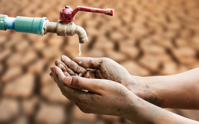 تقرير دولي: العطش والمجاعة يهددان حوالي 20 مليون شخص بدول إفريقية بسبب الجفاف