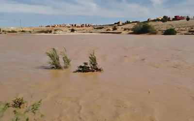 جهة فاس مكناس.. واد ملوية يستقبل كميات مائية مهمة بعد تساقطات مطرية غزيرة بالمنطقة