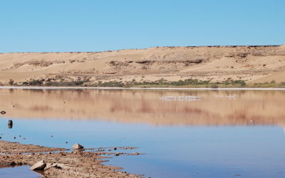تدبير الملك العمومي المائي.. هذه حصيلة منجزات سنة 2023 لوكالة الحوض المائي للساقية الحمراء ووادي الذهب