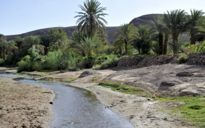لتنمية الواحات وشجر الأركان.. العمل على إنجاز أثقاب مائية عميقة لتعزيز العرض المائي بسوس ماسة