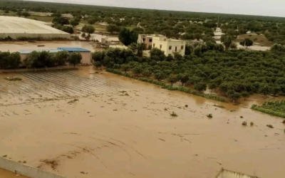 مواصلة تهيئة واد "أوركا" لحماية جماعات أولاد داحو والكفيفات من أخطار الفيضانات