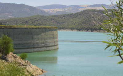 بعد الأمطار الأخيرة.. ارتفاع ملحوظ للموارد المائية بعدد من سدود المملكة خلال الـ 24 ساعة الماضية