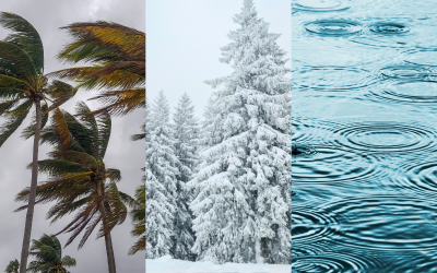 نشرة إنذارية.. تساقطات ثلجية وأمطار قوية وهبات رياح مرتقبة من اليوم الإثنين إلى الأربعاء المقبل بعدة مناطق بالمملكة