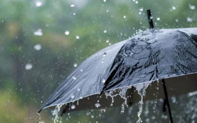 هذه مقاييس التساقطات المطرية خلال الـ 24 ساعة الماضية