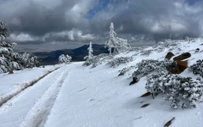هذه مقاييس التساقطات الثلجية المسجلة بالمملكة خلال الـ 24 ساعة الماضية