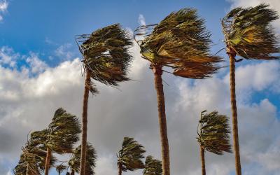 نشرة إنذارية.. هبات رياح قوية مع عاصفة رملية مرتقبة من الخميس إلى الجمعة بعدة مناطق بالمملكة