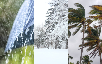 نشرة إنذارية.. تساقطات ثلجية وزخات رعدية قوية محليا مع احتمال تساقط البرد ورياح عاصفية مرتقبة من الثلاثاء إلى الأربعاء بعدة مناطق بالمملكة