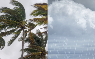 نشرة إنذارية.. زخات رعدية محليا قوية مع احتمال تساقط البرد ورياح عاصفية مرتقبة اليوم الثلاثاء بعدة مناطق بالمملكة