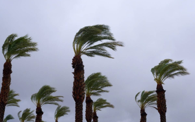 نشرة إنذارية.. هبات رياح قوية مع تطاير الغبار مرتقبة يوم غد الخميس بعدد من أقاليم المملكة