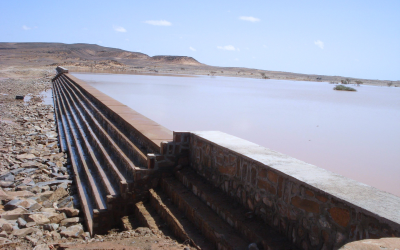 بعد سنوات من الجفاف.. انتعاش مائي ملحوظ بحوض الساقية الحمراء ووادي الذهب 